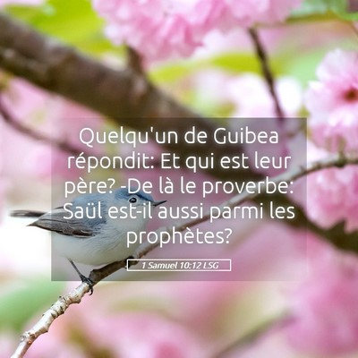 Picture 05 - 1 Samuel 10:12 LSG - Quelqu'un de Guibea répondit: Et qui est leur - Bible Verse Picture