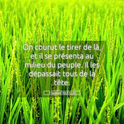 Picture 05 - 1 Samuel 10:23 LSG - On courut le tirer de là, et il se présenta au - Bible Verse Picture