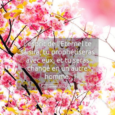 Picture 05 - 1 Samuel 10:6 LSG - L'esprit de l'Eternel te saisira, tu - Bible Verse Picture
