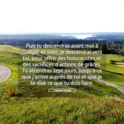 Picture 05 - 1 Samuel 10:8 LSG - Puis tu descendras avant moi à Guilgal; et - Bible Verse Picture