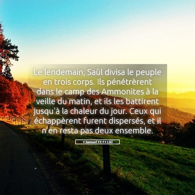 Picture 05 - 1 Samuel 11:11 LSG - Le lendemain, Saül divisa le peuple en trois - Bible Verse Picture