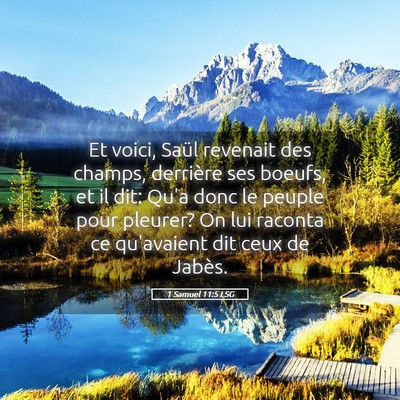 Picture 05 - 1 Samuel 11:5 LSG - Et voici, Saül revenait des champs, derrière - Bible Verse Picture