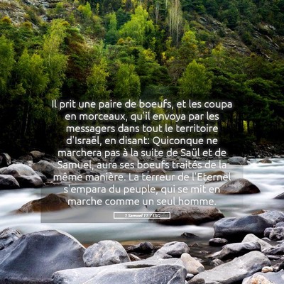 Picture 05 - 1 Samuel 11:7 LSG - Il prit une paire de boeufs, et les coupa en - Bible Verse Picture