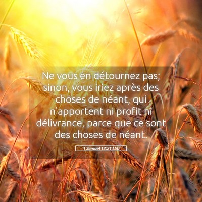 Picture 05 - 1 Samuel 12:21 LSG - Ne vous en détournez pas; sinon, vous iriez - Bible Verse Picture