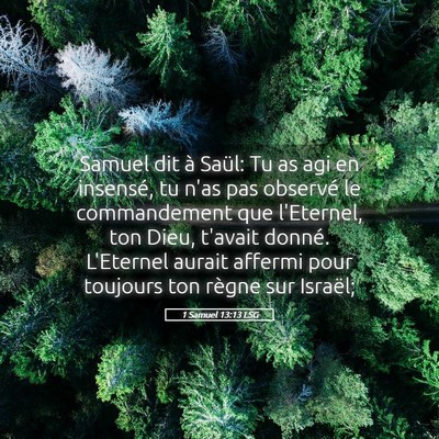 Picture 05 - 1 Samuel 13:13 LSG - Samuel dit à Saül: Tu as agi en insensé, tu - Bible Verse Picture