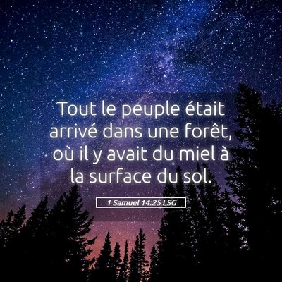 Picture 05 - 1 Samuel 14:25 LSG - Tout le peuple était arrivé dans une forêt, - Bible Verse Picture