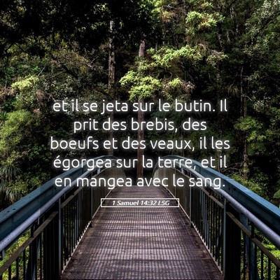 Picture 05 - 1 Samuel 14:32 LSG - et il se jeta sur le butin. Il prit des brebis, - Bible Verse Picture