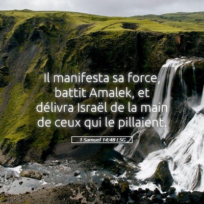 Picture 05 - 1 Samuel 14:48 LSG - Il manifesta sa force, battit Amalek, et délivra - Bible Verse Picture