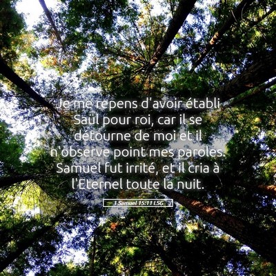 Picture 05 - 1 Samuel 15:11 LSG - Je me repens d'avoir établi Saül pour roi, car - Bible Verse Picture
