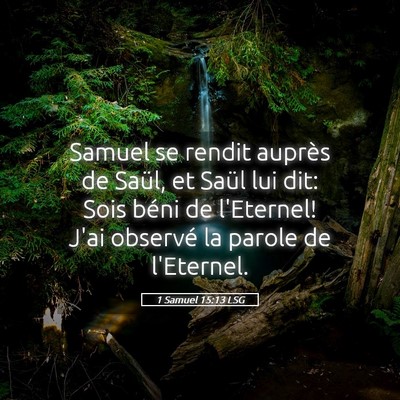 Picture 05 - 1 Samuel 15:13 LSG - Samuel se rendit auprès de Saül, et Saül lui - Bible Verse Picture
