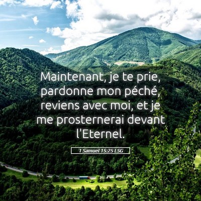 Picture 05 - 1 Samuel 15:25 LSG - Maintenant, je te prie, pardonne mon péché, - Bible Verse Picture