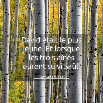 Picture 05 - 1 Samuel 17:14 LSG - David était le plus jeune. Et lorsque les trois - Bible Verse Picture