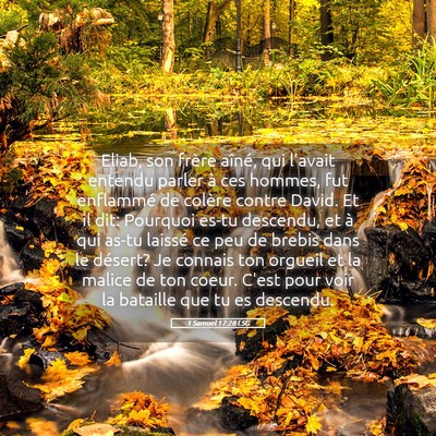 Picture 05 - 1 Samuel 17:28 LSG - Eliab, son frère aîné, qui l'avait entendu - Bible Verse Picture