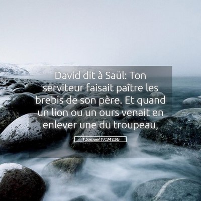 Picture 05 - 1 Samuel 17:34 LSG - David dit à Saül: Ton serviteur faisait paître - Bible Verse Picture