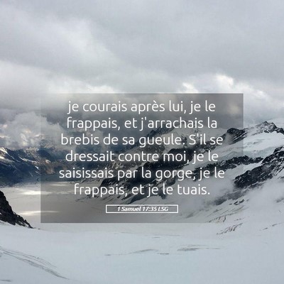 Picture 05 - 1 Samuel 17:35 LSG - je courais après lui, je le frappais, et - Bible Verse Picture