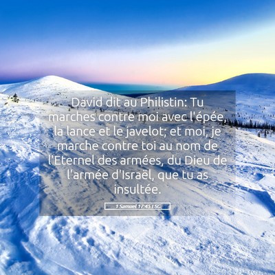 Picture 05 - 1 Samuel 17:45 LSG - David dit au Philistin: Tu marches contre moi - Bible Verse Picture