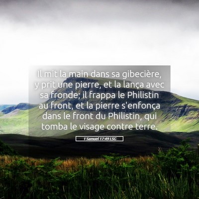 Picture 05 - 1 Samuel 17:49 LSG - Il mit la main dans sa gibecière, y prit une - Bible Verse Picture