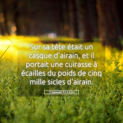 Picture 05 - 1 Samuel 17:5 LSG - Sur sa tête était un casque d'airain, et il - Bible Verse Picture