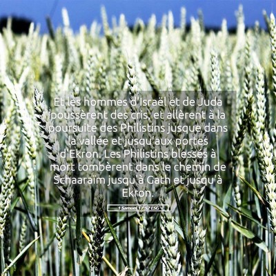 Picture 05 - 1 Samuel 17:52 LSG - Et les hommes d'Israël et de Juda poussèrent - Bible Verse Picture
