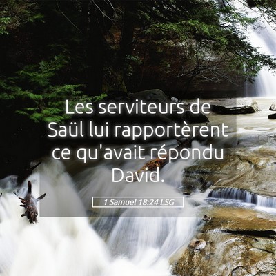 Picture 05 - 1 Samuel 18:24 LSG - Les serviteurs de Saül lui rapportèrent ce - Bible Verse Picture