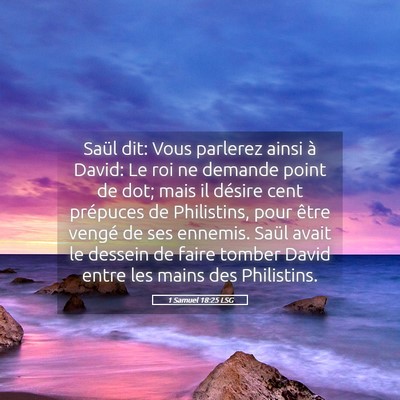 Picture 05 - 1 Samuel 18:25 LSG - Saül dit: Vous parlerez ainsi à David: Le roi - Bible Verse Picture