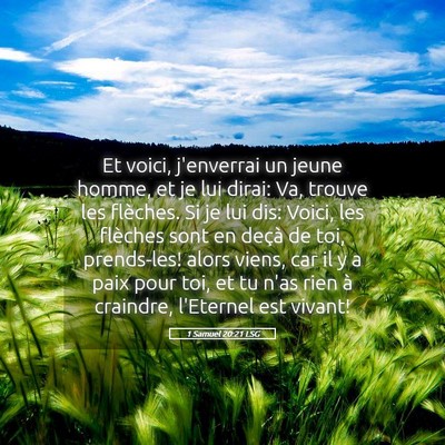Picture 05 - 1 Samuel 20:21 LSG - Et voici, j'enverrai un jeune homme, et je lui - Bible Verse Picture
