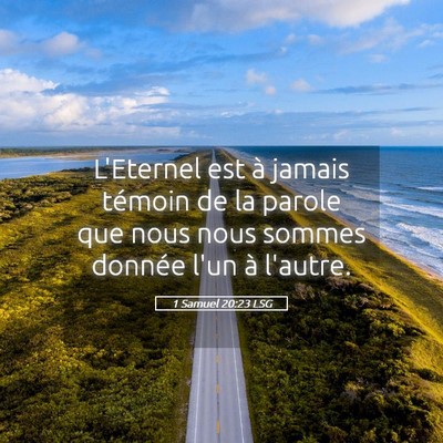 Picture 05 - 1 Samuel 20:23 LSG - L'Eternel est à jamais témoin de la parole que - Bible Verse Picture