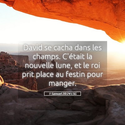 Picture 05 - 1 Samuel 20:24 LSG - David se cacha dans les champs. C'était la - Bible Verse Picture