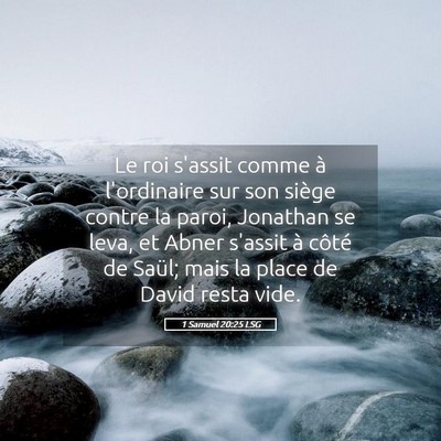 Picture 05 - 1 Samuel 20:25 LSG - Le roi s'assit comme à l'ordinaire sur son - Bible Verse Picture