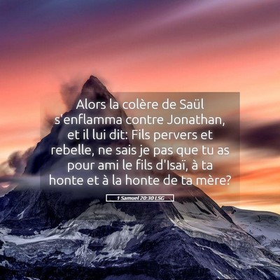Picture 05 - 1 Samuel 20:30 LSG - Alors la colère de Saül s'enflamma contre - Bible Verse Picture