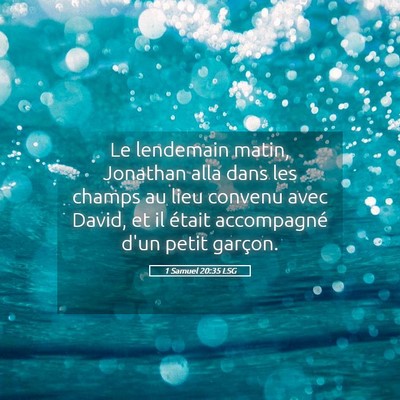Picture 05 - 1 Samuel 20:35 LSG - Le lendemain matin, Jonathan alla dans les champs - Bible Verse Picture