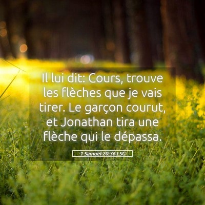 Picture 05 - 1 Samuel 20:36 LSG - Il lui dit: Cours, trouve les flèches que je - Bible Verse Picture
