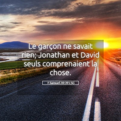 Picture 05 - 1 Samuel 20:39 LSG - Le garçon ne savait rien; Jonathan et David - Bible Verse Picture