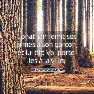 Picture 05 - 1 Samuel 20:40 LSG - Jonathan remit ses armes à son garçon, et lui - Bible Verse Picture