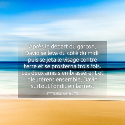 Picture 05 - 1 Samuel 20:41 LSG - Après le départ du garçon, David se leva du - Bible Verse Picture