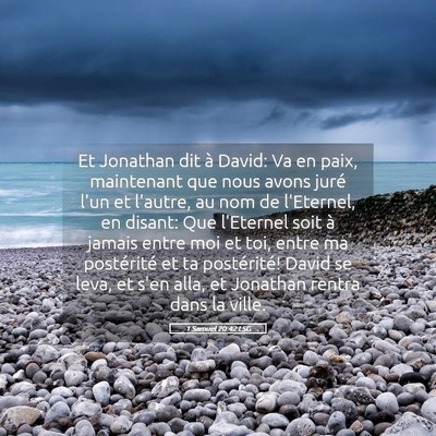 Picture 05 - 1 Samuel 20:42 LSG - Et Jonathan dit à David: Va en paix, maintenant - Bible Verse Picture
