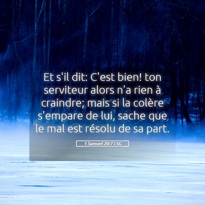 Picture 05 - 1 Samuel 20:7 LSG - Et s'il dit: C'est bien! ton serviteur alors n'a - Bible Verse Picture