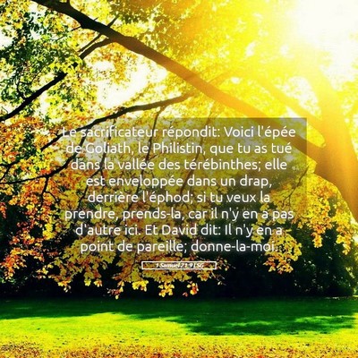 Picture 05 - 1 Samuel 21:9 LSG - Le sacrificateur répondit: Voici l'épée de - Bible Verse Picture