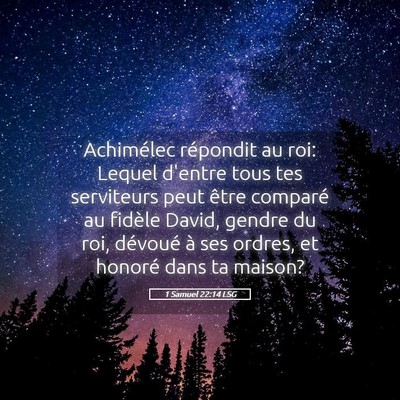 Picture 05 - 1 Samuel 22:14 LSG - Achimélec répondit au roi: Lequel d'entre tous - Bible Verse Picture