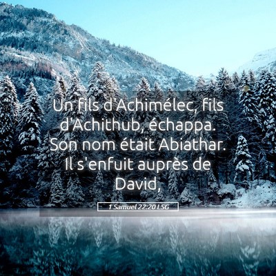 Picture 05 - 1 Samuel 22:20 LSG - Un fils d'Achimélec, fils d'Achithub, échappa. - Bible Verse Picture