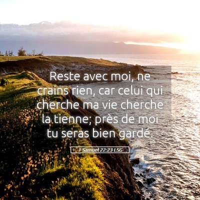 Picture 05 - 1 Samuel 22:23 LSG - Reste avec moi, ne crains rien, car celui qui - Bible Verse Picture