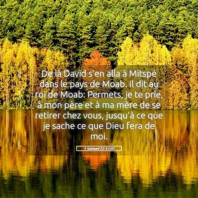 Picture 05 - 1 Samuel 22:3 LSG - De là David s'en alla à Mitspé dans le pays de - Bible Verse Picture