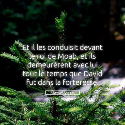Picture 05 - 1 Samuel 22:4 LSG - Et il les conduisit devant le roi de Moab, et ils - Bible Verse Picture