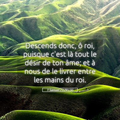 Picture 05 - 1 Samuel 23:20 LSG - Descends donc, ô roi, puisque c'est là tout le - Bible Verse Picture