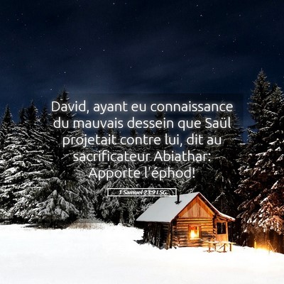 Picture 05 - 1 Samuel 23:9 LSG - David, ayant eu connaissance du mauvais dessein - Bible Verse Picture