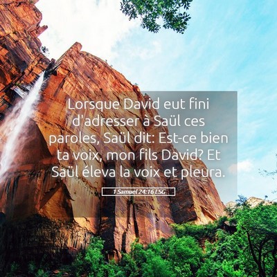 Picture 05 - 1 Samuel 24:16 LSG - Lorsque David eut fini d'adresser à Saül ces - Bible Verse Picture