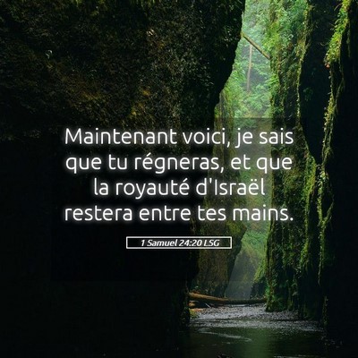 Picture 05 - 1 Samuel 24:20 LSG - Maintenant voici, je sais que tu régneras, et - Bible Verse Picture