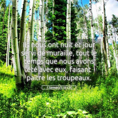 Picture 05 - 1 Samuel 25:16 LSG - Ils nous ont nuit et jour servi de muraille, tout - Bible Verse Picture