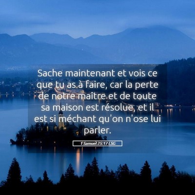 Picture 05 - 1 Samuel 25:17 LSG - Sache maintenant et vois ce que tu as à faire, - Bible Verse Picture