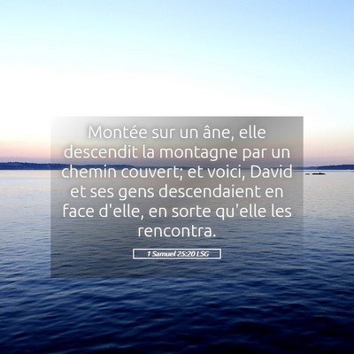 Picture 05 - 1 Samuel 25:20 LSG - Montée sur un âne, elle descendit la montagne - Bible Verse Picture